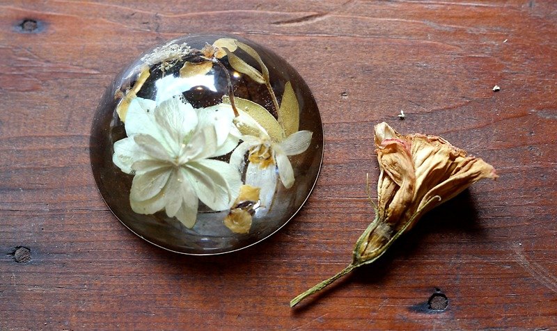 Pressed flowers ♪ paper weight - Plants - Paper Yellow