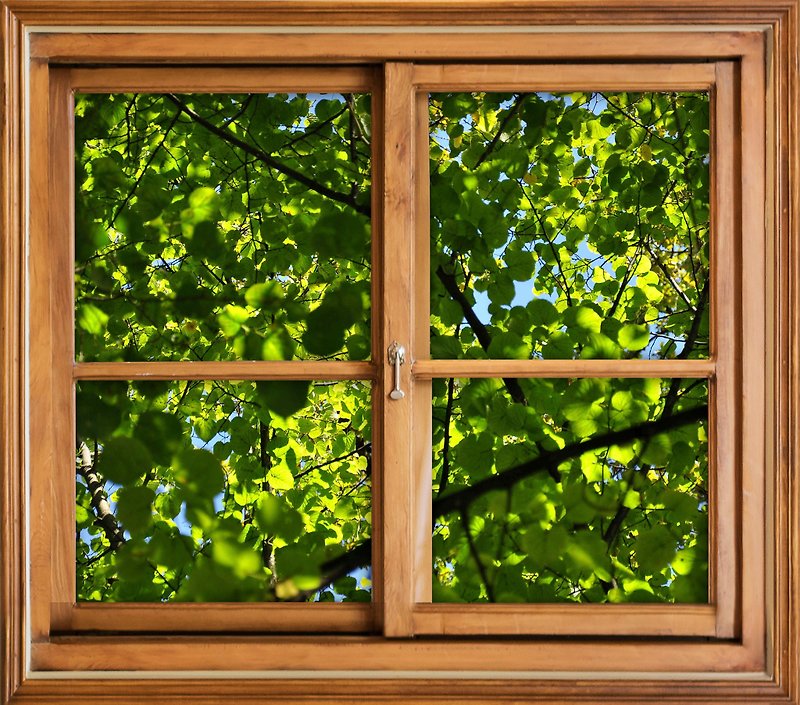 撮影-植物のある窓を自分で開ける-緑の窓の外 - ポスター・絵 - 紙 グリーン
