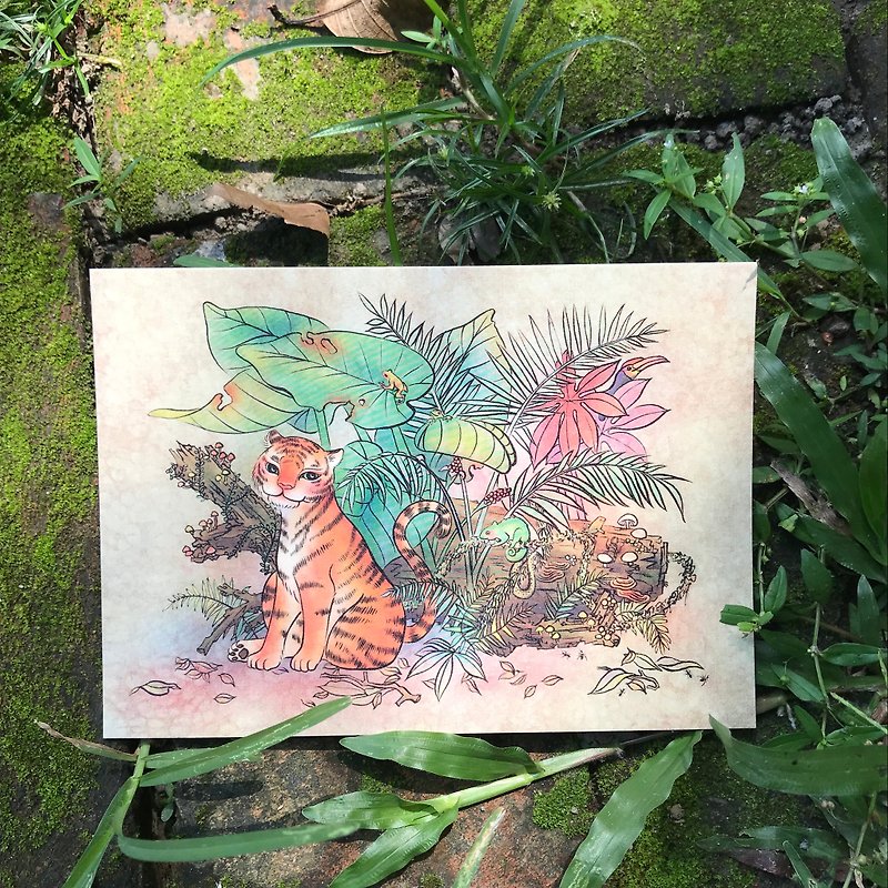 【King of the Jungle/Story Illustration Postcard】/Tiger/Rainforest/Chameleon - การ์ด/โปสการ์ด - กระดาษ สีส้ม