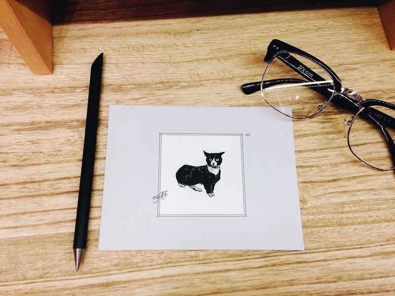 What's that?  Stray Cat: Postcards Cards/ A card= A donation - การ์ด/โปสการ์ด - กระดาษ สีเทา