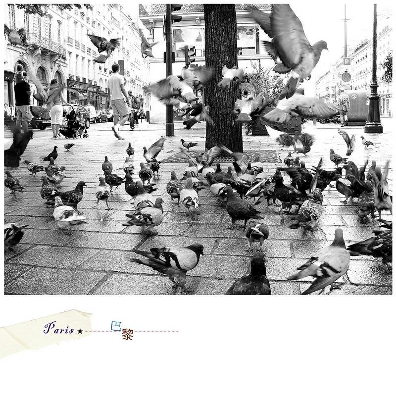 法國旅行攝影明信片 - 卡片/明信片 - 紙 