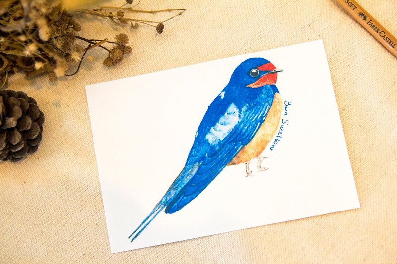 Hand-painted watercolor postcards Swallow - การ์ด/โปสการ์ด - กระดาษ 