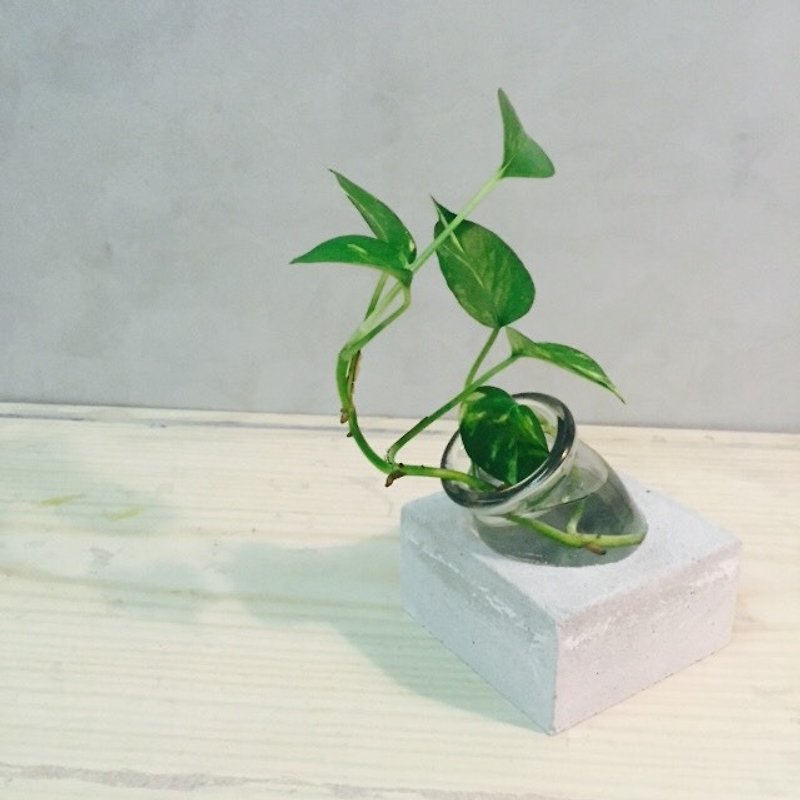 Flower / hydroponics / cement decorations - Plants - Paper Gray