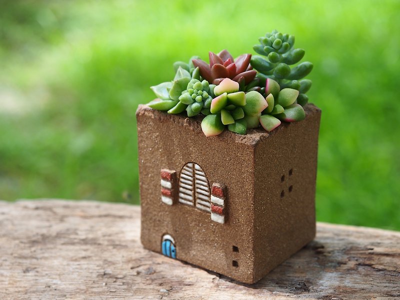 【ガーデンコテージガーデン]タオ手作り - 小さなウィンドウ超かわいいサンシャインガーデン（S）/ロックブラウン/セラミックハウス - 観葉植物 - その他の素材 