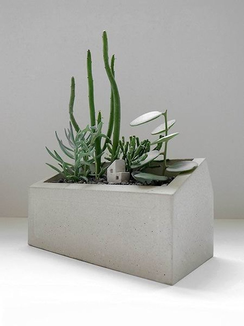 小さな農家のセメント植木鉢（植物、石、土、フラワーアレンジメントを除く） - 観葉植物 - コンクリート グレー