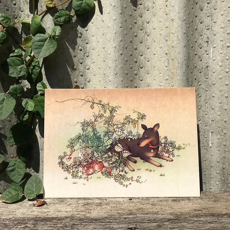 [Bittersweet Dreams/Story Illustration Postcard] /Dog/Cat/Pet/Rabbit - การ์ด/โปสการ์ด - กระดาษ สีกากี