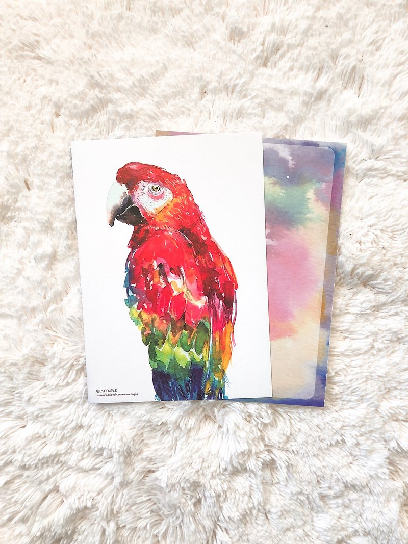 Animal Postcard Parrot - Cards & Postcards - Paper Multicolor