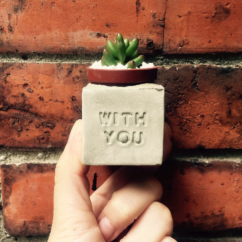 WITH YOU~(Always with you) Magnet Succulent Potted Plant - Plants - Cement Gray