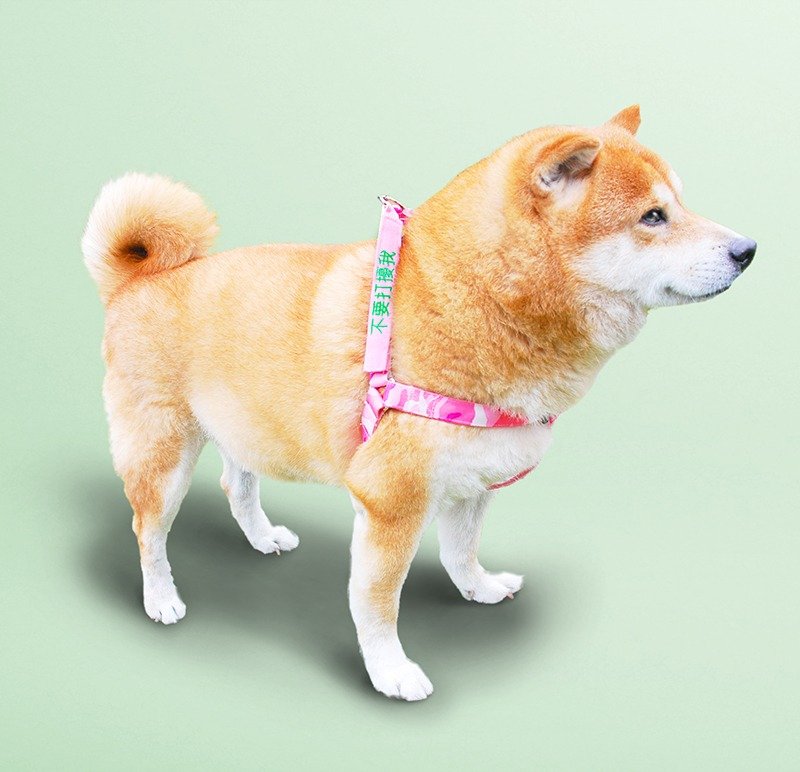 Small talk 狗有話要說 胸背帶+2句標語 粉紅迷彩 (M) - 項圈/牽繩 - 棉．麻 粉紅色