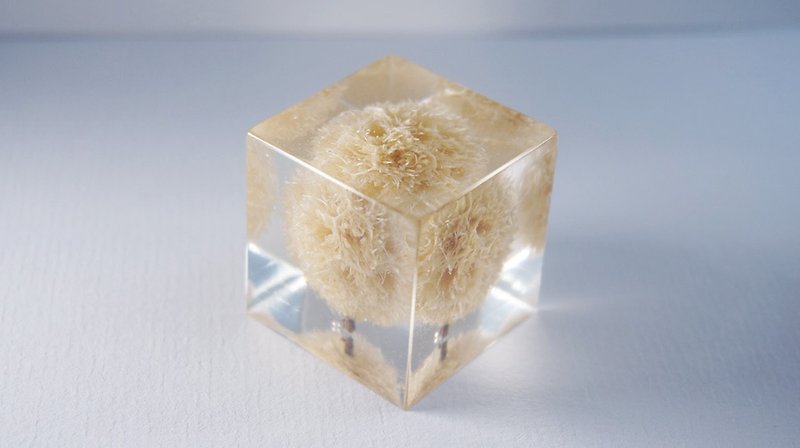 Dried hairball - dried flowers decoration three-dimensional square - Other - Plants & Flowers Yellow