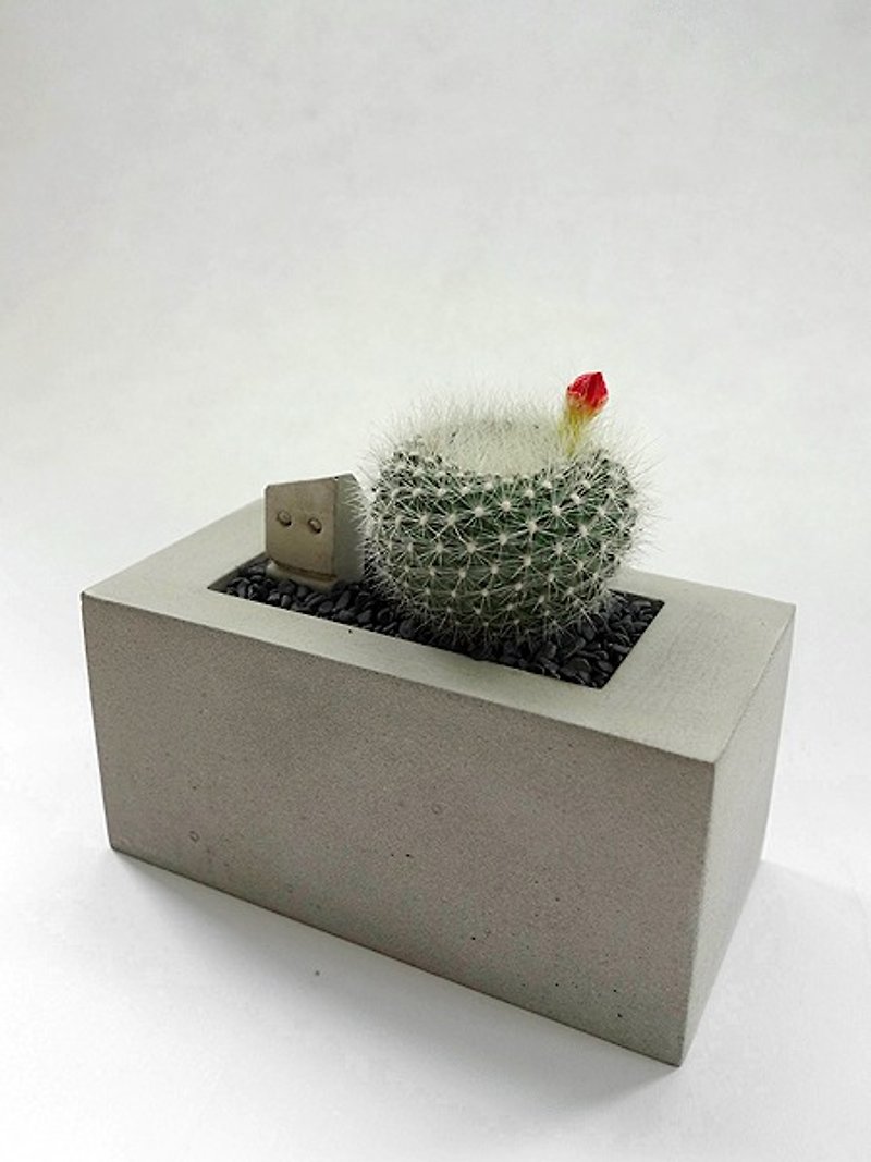 Rectangular Cement flower (excluding plants, Stone and soil) - Plants - Cement Gray