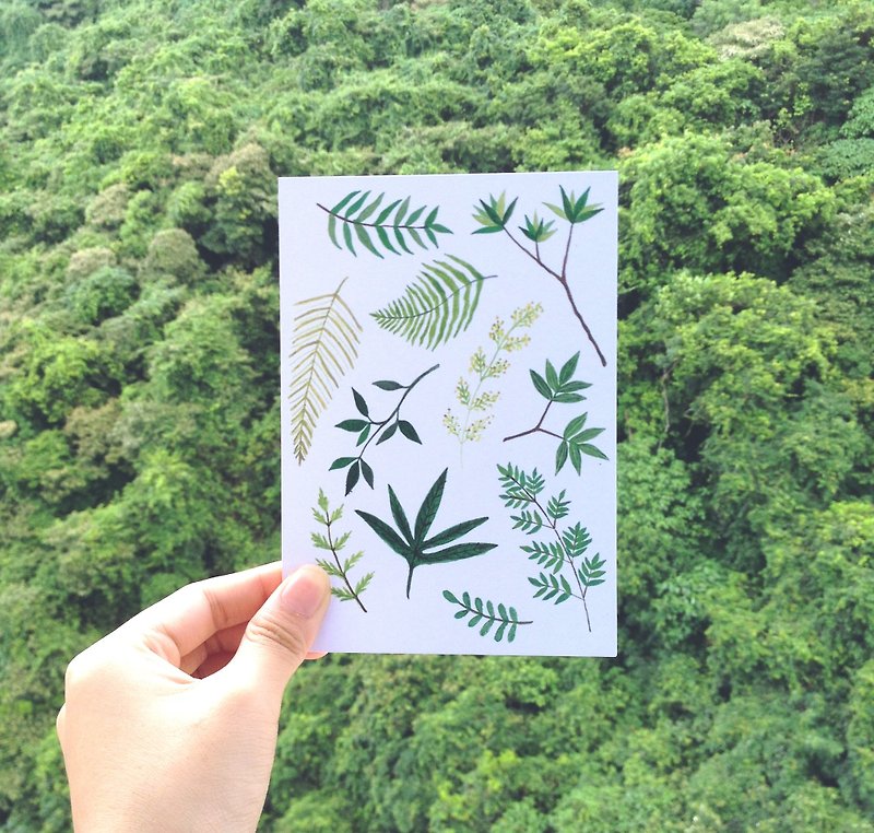 something green 植物明信片 - 卡片/明信片 - 紙 綠色