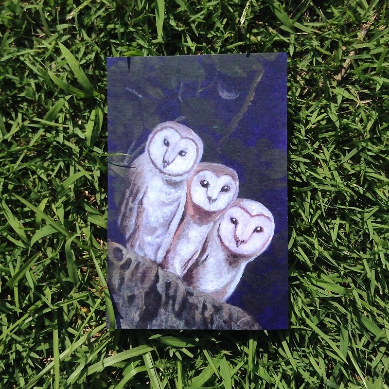 According to the step flow illustration postcard - night. Owl 01 - การ์ด/โปสการ์ด - กระดาษ หลากหลายสี