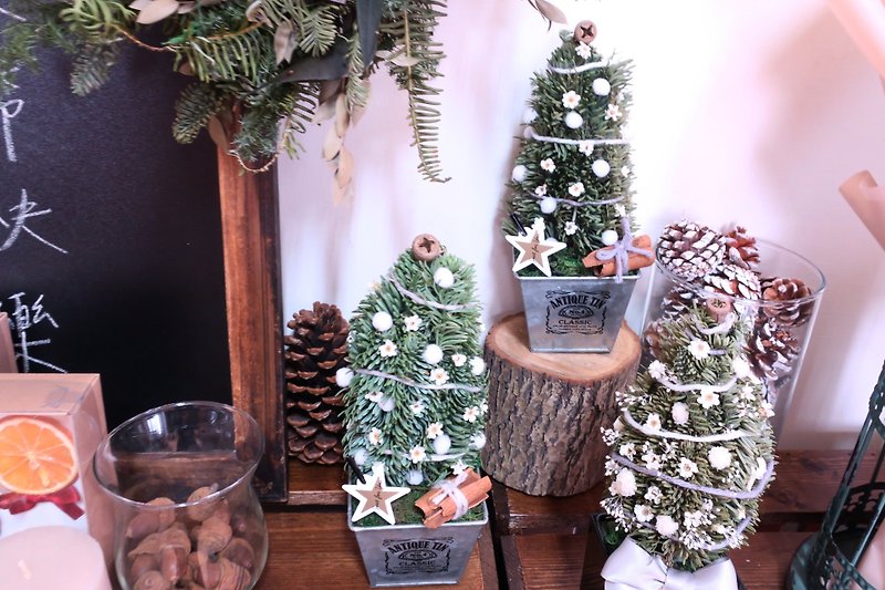 ▫One 花筒▫  鐵口盒復古風格聖誕樹 - 植物/盆栽/盆景 - 植物．花 綠色