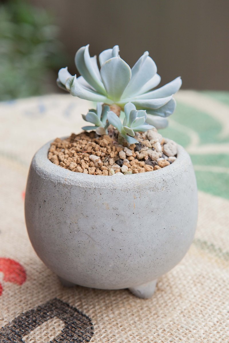[Drizzle Handmade Workshop] Three-legged fat potted plant/treatment potted plant sketch-Succulent Summer Edition - Plants - Cement Blue