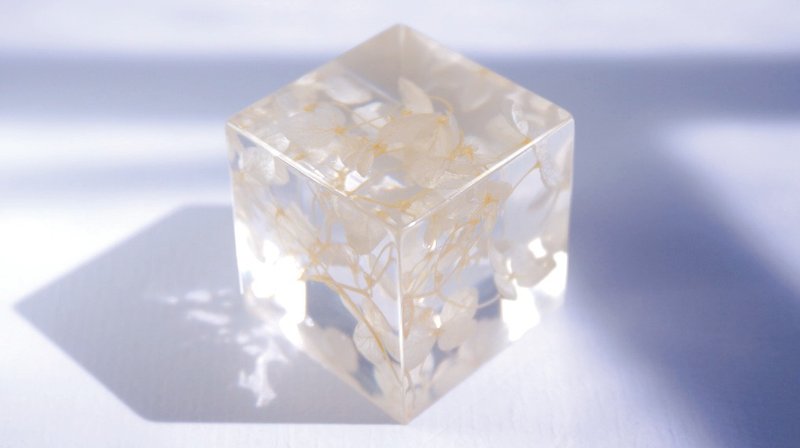 White embroidered ball - perspective Square dried flowers decoration - จัดดอกไม้/ต้นไม้ - พืช/ดอกไม้ ขาว