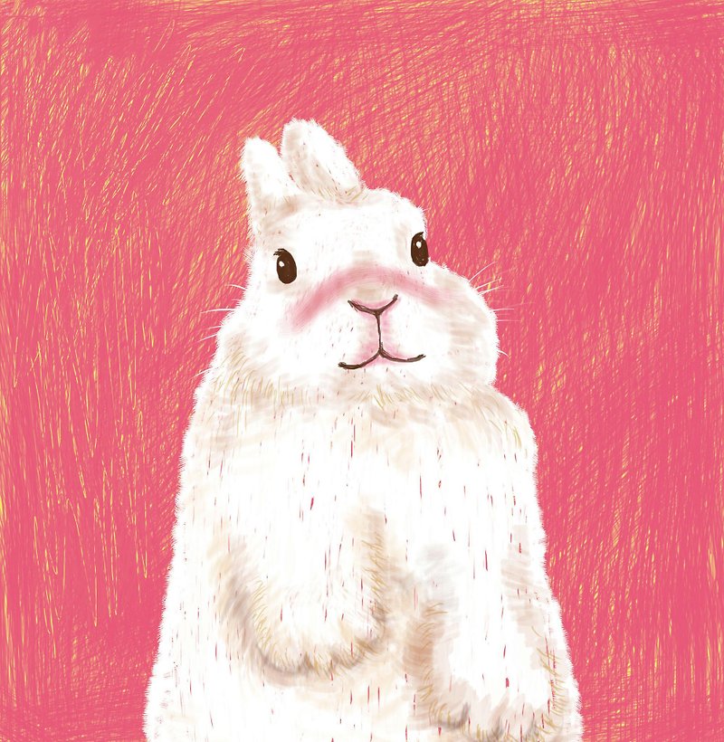 動物園 | 阿南白兔 手繪 插畫 抱枕套 (不包含枕心) 入厝禮物 - 枕頭/咕𠱸 - 棉．麻 紅色