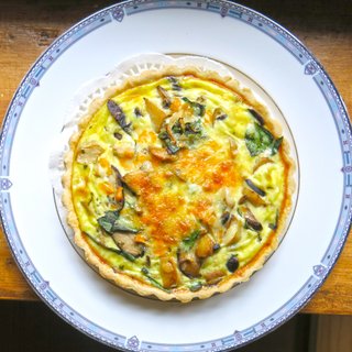 Fish-loving dog-Pagoda shiitake mushroom salty pie