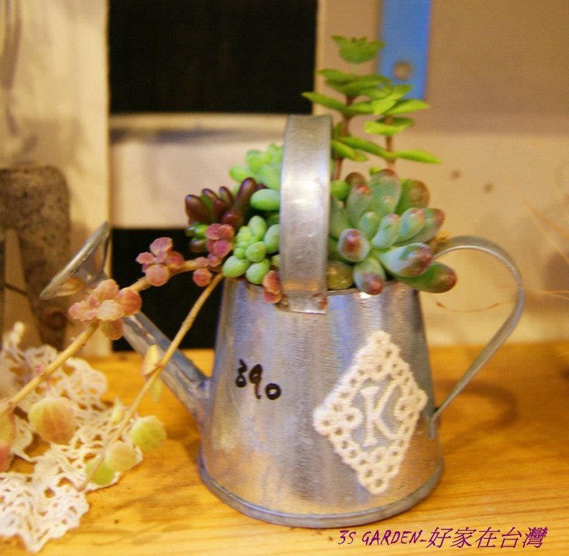 DIY迷你澆水湖多肉寶寶 - Plants - Plants & Flowers 