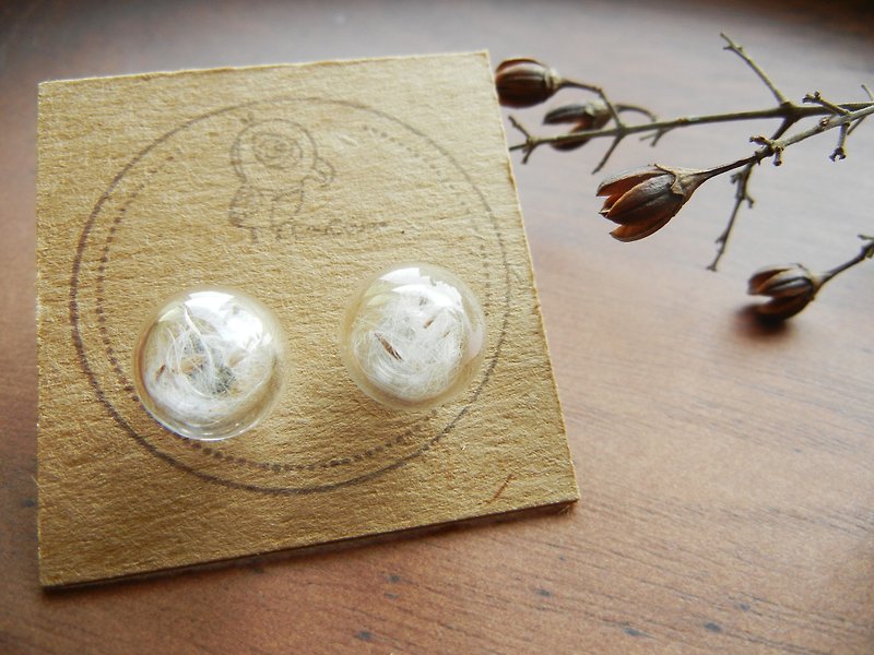 *coucoubird*glass flower earrings-dandelion/anti-allergic ear acupuncture - Earrings & Clip-ons - Glass White