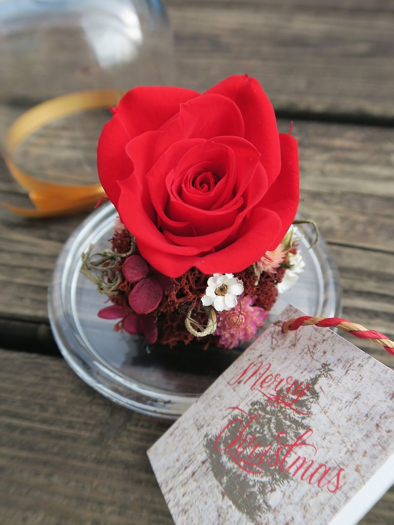 Star red rose garden glass cake cover _ a small card to universal card design - ตกแต่งต้นไม้ - พืช/ดอกไม้ สีแดง