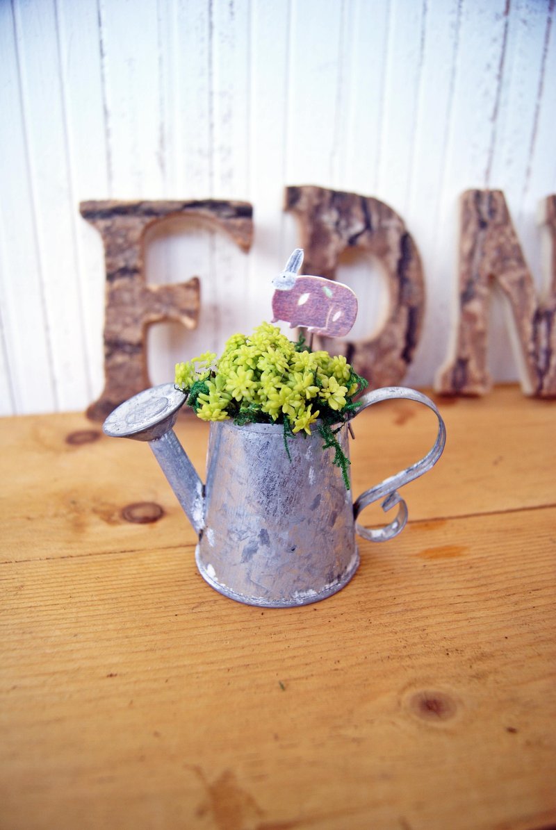 Grocery wind cute old S-handle brush pouring kettle X meaty planting - Plants - Other Metals 