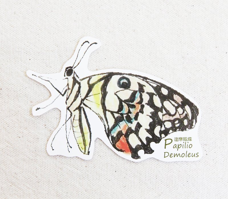 Gordon -NSJ painted Damour butterfly sticker - สติกเกอร์ - กระดาษ หลากหลายสี