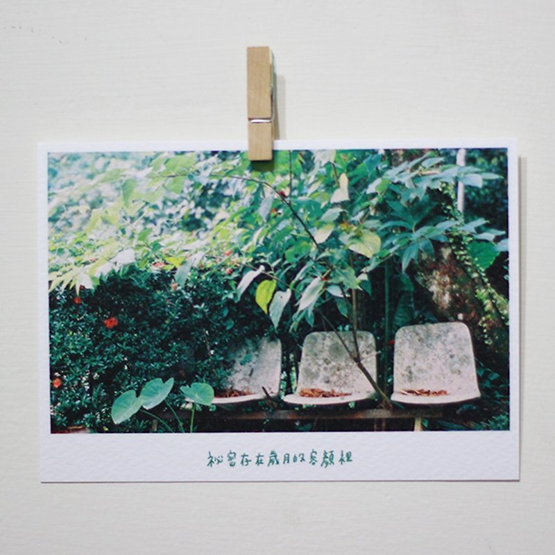 歲月的容顏 /Magai's postcard - 心意卡/卡片 - 紙 綠色