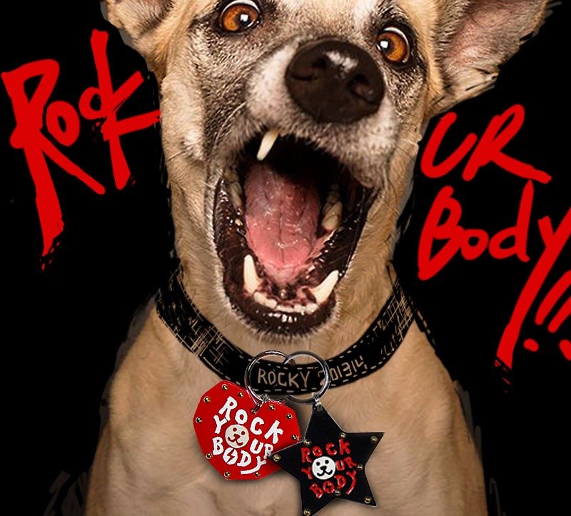 Rock Ur Body steel heart / rock stars (pet brand, cats and dogs are applicable) - ปลอกคอ - อะคริลิค 