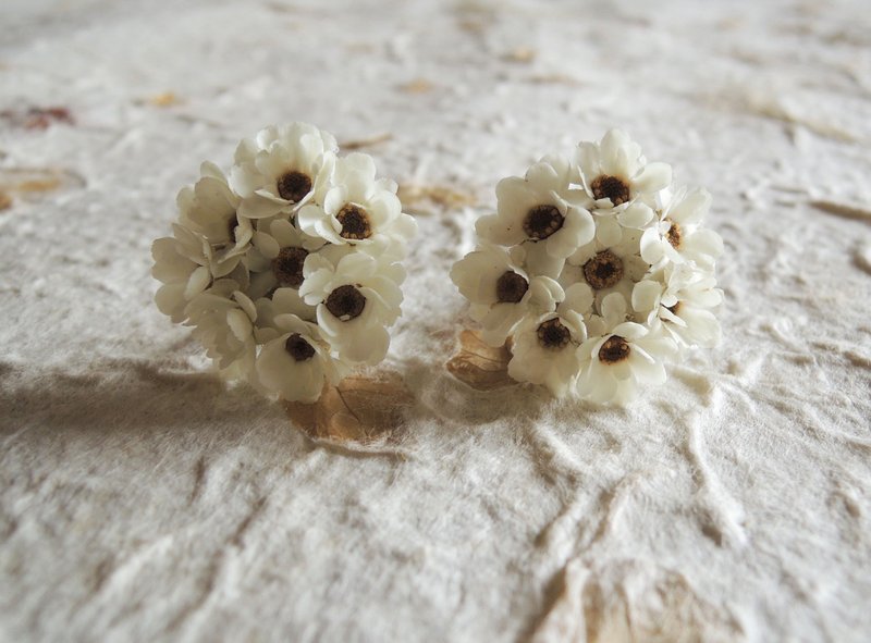 微甜‧圈 經典系列 手作 花耳環 法國 重瓣 小白梅 乾燥花 耳環 夾式款式 婚禮飾品 - 耳環/耳夾/耳骨夾 - 其他金屬 白色