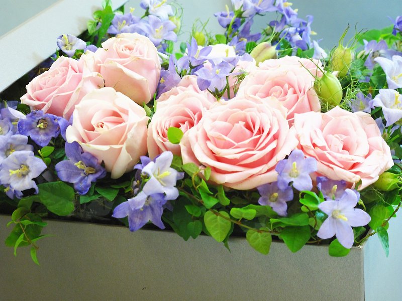 Flower box - Plants & Floral Arrangement - Plants & Flowers Purple