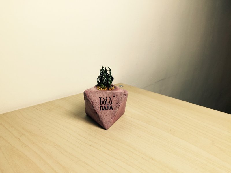 角頭-鷹爪-多肉植物 水泥盆 交換禮物 - 盆栽/植栽 - 水泥 灰色