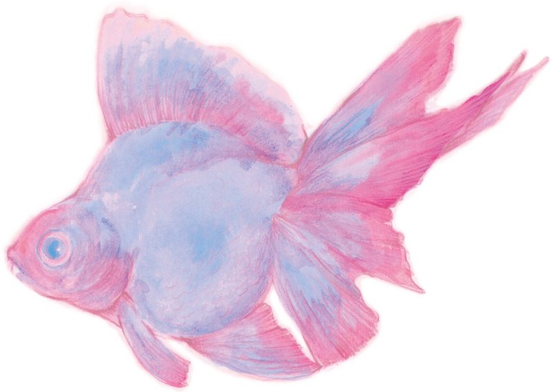 pink goldfish sticker - Stickers - Other Materials Pink