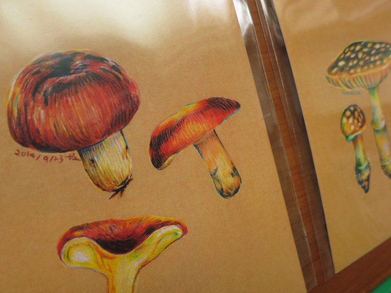 手繪蕈類明信片－三支菇傘標 - 心意卡/卡片 - 紙 多色