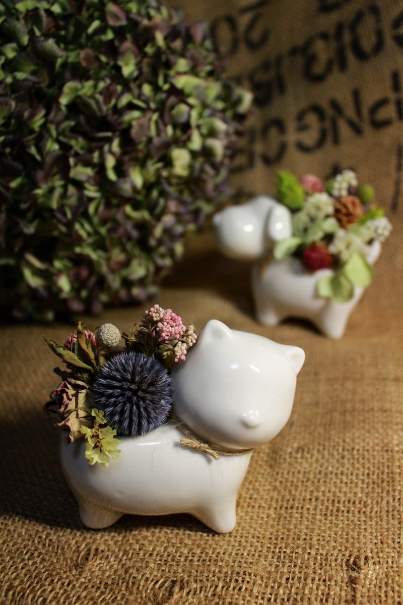 ♣小花親親♣   療癒系-cat貓 - 擺飾/家飾品 - 其他材質 白色