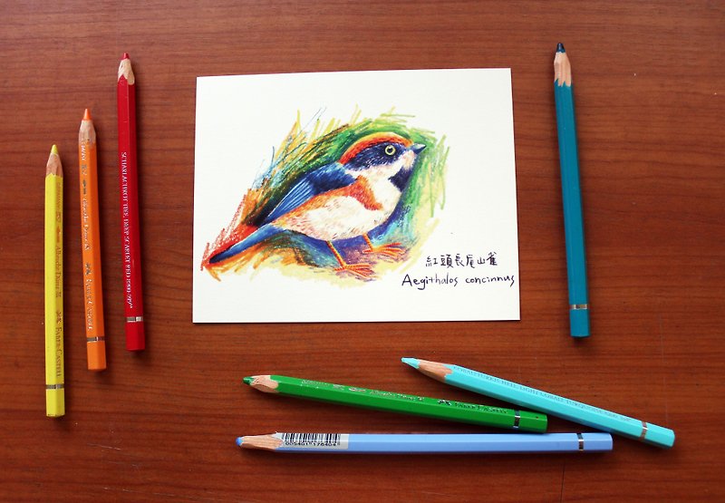 私のイラストポストカード赤ヘッドロングテール山の鳥 - カード・はがき - 紙 多色
