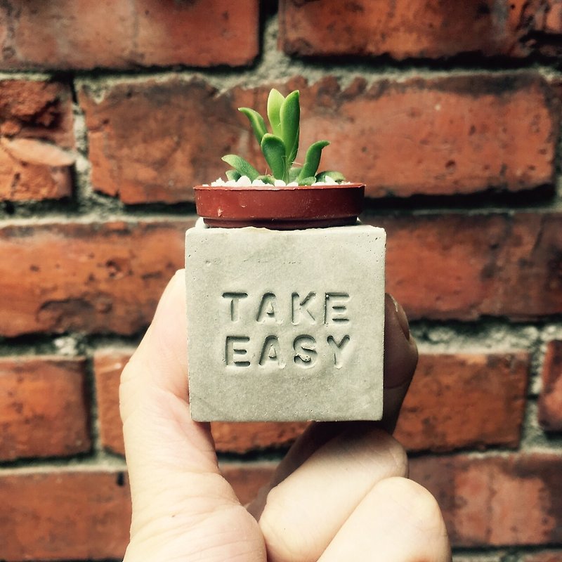 Take Easy!! （放輕鬆～!）磁鐵盆栽 - 植物/盆栽/盆景 - 水泥 灰色