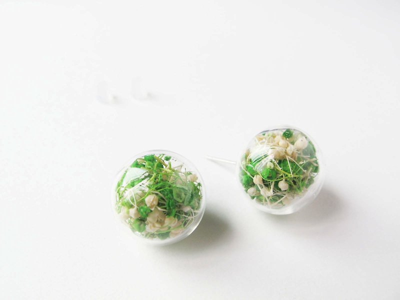 * Rosy Garden * Dried baby's breath inside glass ball earrings - Earrings & Clip-ons - Glass Green