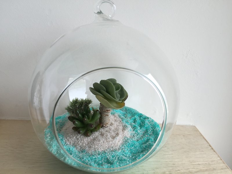 [Pure natural] diy group island blue sea beach glass balls tear potted succulents smaller spa gift was Hawaii Maldives Island potted - จัดดอกไม้/ต้นไม้ - พืช/ดอกไม้ สีน้ำเงิน