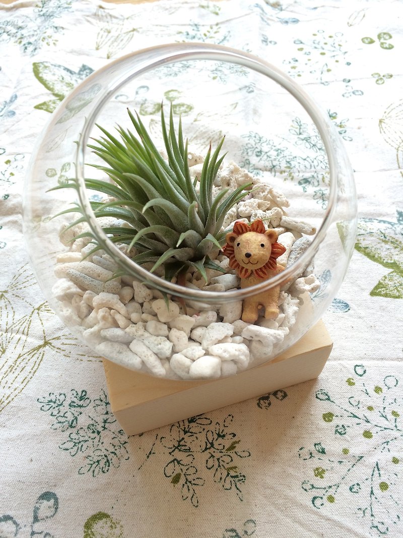 (Potted plant) Midsummer Islands Isolated Island with cold sweater base for Christmas exchange gifts - ตกแต่งต้นไม้ - แก้ว สีส้ม