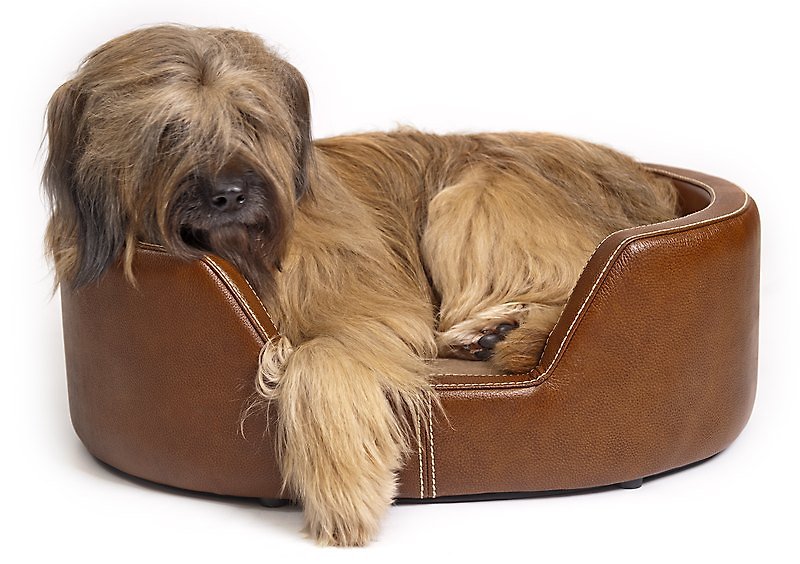 Wes [W & S] classics bed pet bed (size S- Brown) - Bedding & Cages - Genuine Leather Orange