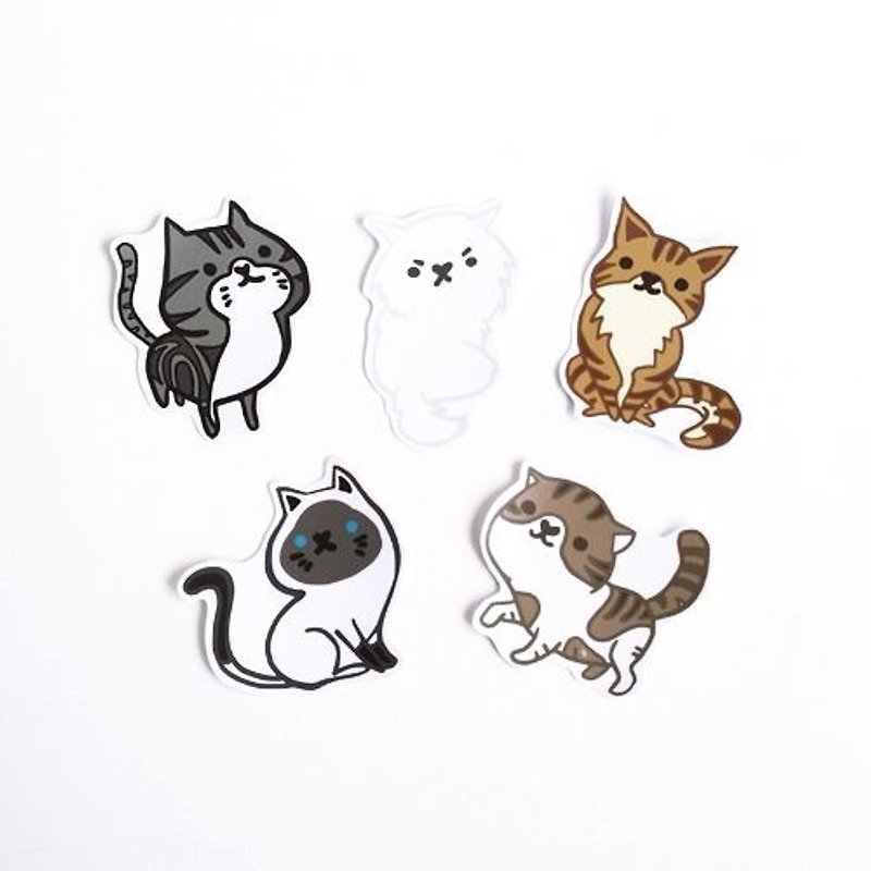 1212 fun design waterproof stickers funny stickers everywhere - cats coming - Stickers - Waterproof Material Multicolor