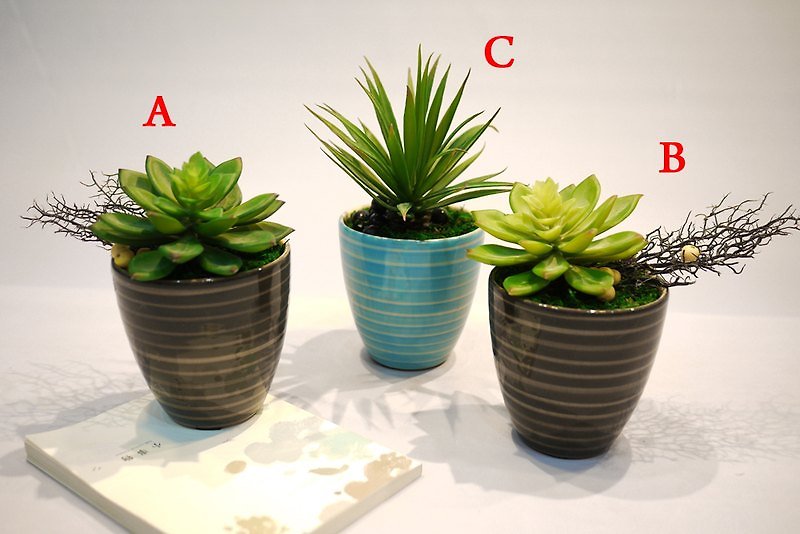 【人造花藝】石蓮系列小品 - Plants - Other Materials Green