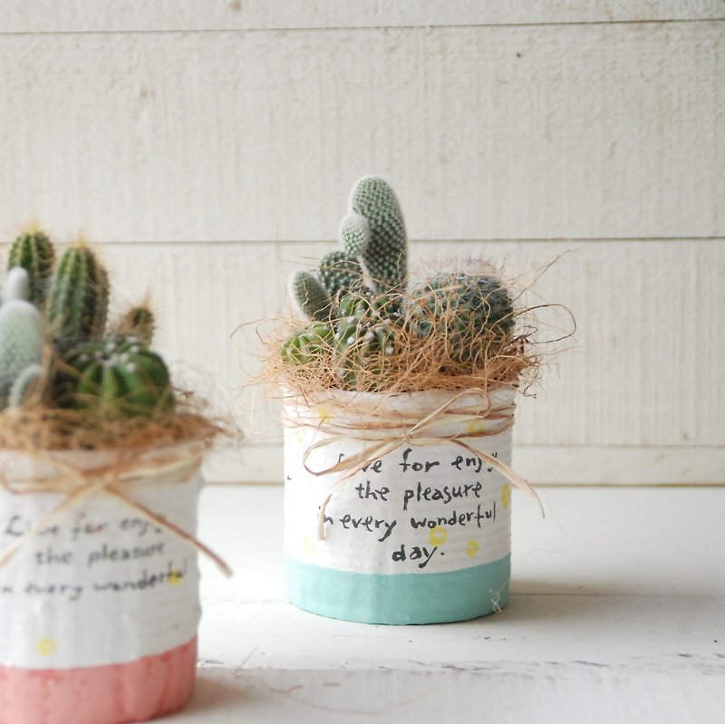 Canned Macarons Planting Pots - Single Into Optional Cactus Plant - Birthday Housewarming Valentine Christmas - ตกแต่งต้นไม้ - พืช/ดอกไม้ สีเขียว