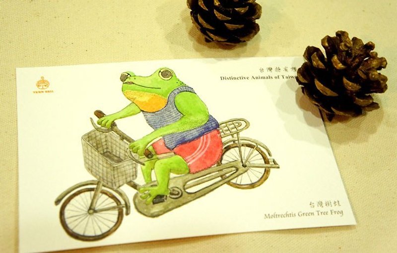 針線球 台灣特有種明信片-青蛙騎腳踏車(單張) - การ์ด/โปสการ์ด - กระดาษ สีเขียว