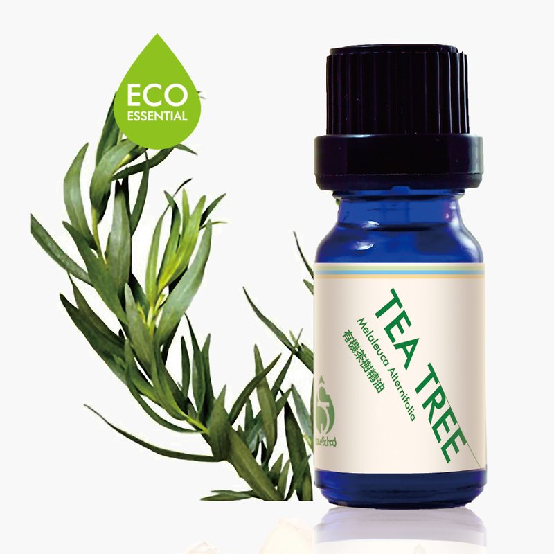 FaceSchool _Tea Tree Essential Oil - น้ำหอม - พืช/ดอกไม้ สีน้ำเงิน
