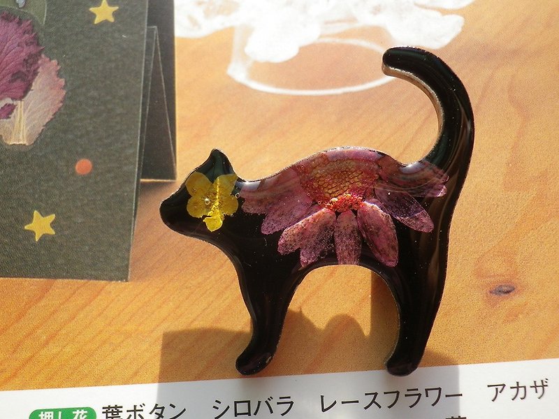 Anny's workshop手作押花飾品，高傲的貓胸針 - 胸針 - 塑膠 