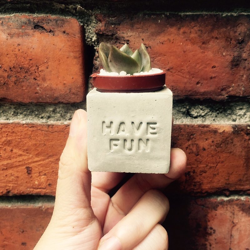 Have Fun~!! (Happy Enjoying) Magnet Potted Plant - ตกแต่งต้นไม้ - ปูน สีเทา