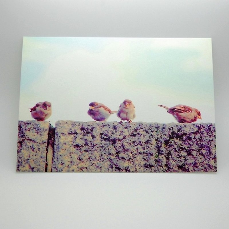 Travel Postcard: Eurasian tree sparrow II, Berlin, Germany - การ์ด/โปสการ์ด - กระดาษ หลากหลายสี