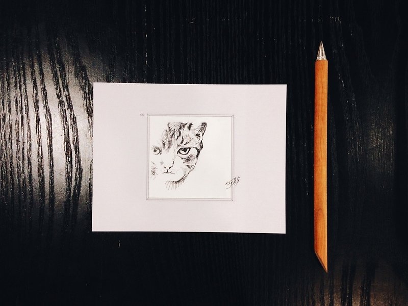 Watching,   Stray Cat: Postcards Cards/ A card= A donation - Cards & Postcards - Paper Gray